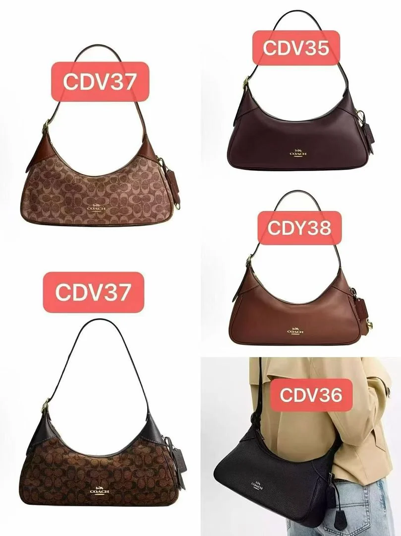 CDV37
